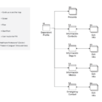System_Map_ 4.1_Dependent_Profile
